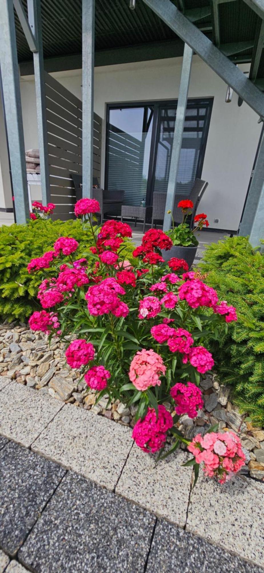 Polanki 2 - Sauna, Jacuzzi, Podgrzewany Basen Apartment Leba